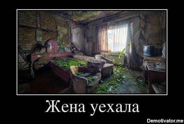 Хостинг картинок yapx.ru