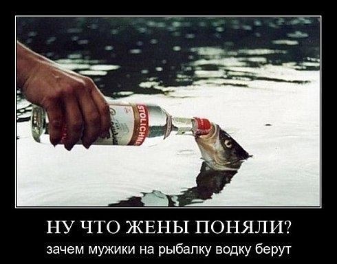 Хостинг картинок yapx.ru