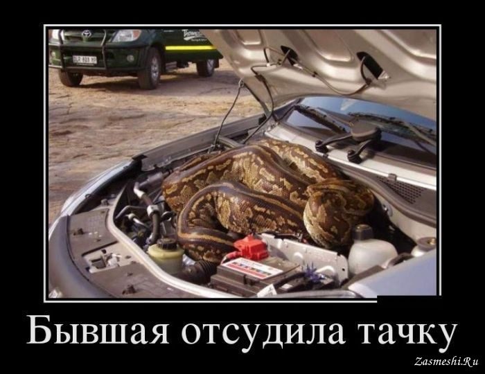 Хостинг картинок yapx.ru