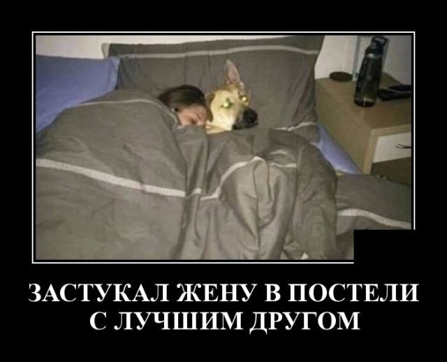 Хостинг картинок yapx.ru