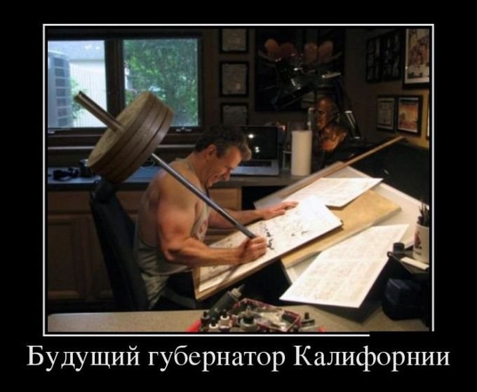 Хостинг картинок yapx.ru