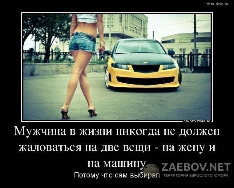 Хостинг картинок yapx.ru