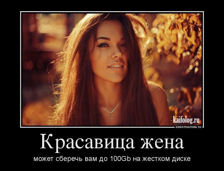 Хостинг картинок yapx.ru