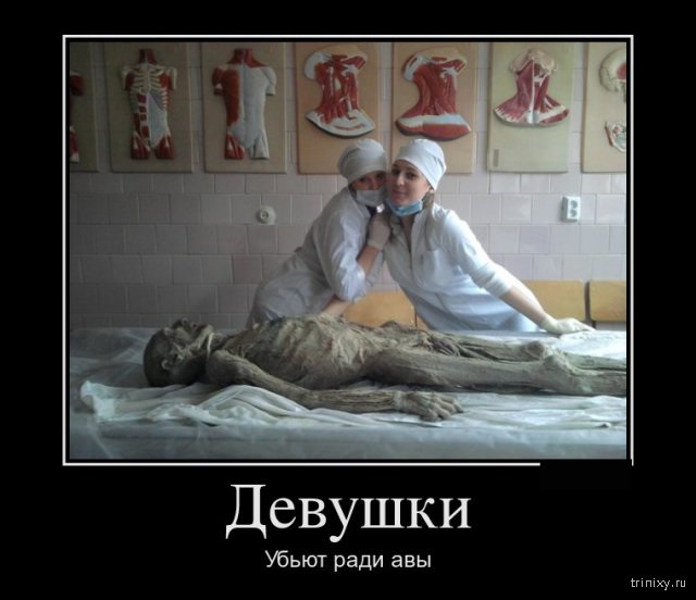 Хостинг картинок yapx.ru