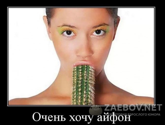 Хостинг картинок yapx.ru