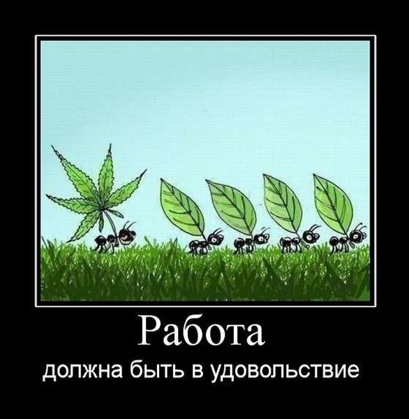 Хостинг картинок yapx.ru