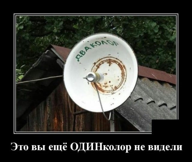 Хостинг картинок yapx.ru