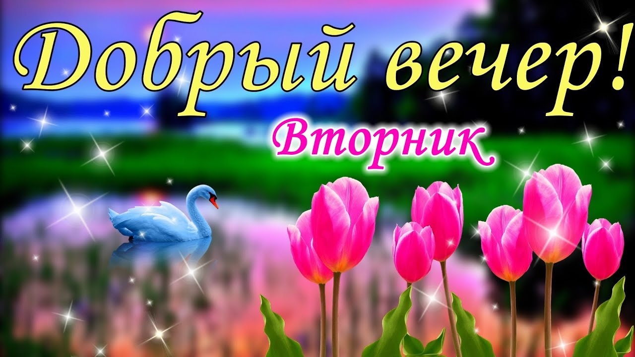 Чудесного вечернего вечера.