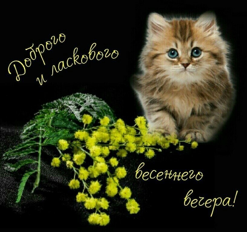 Теплого весеннего вечера