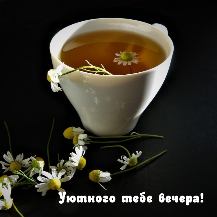 Открытка чудесного весеннего вечера - лучшие картинки.