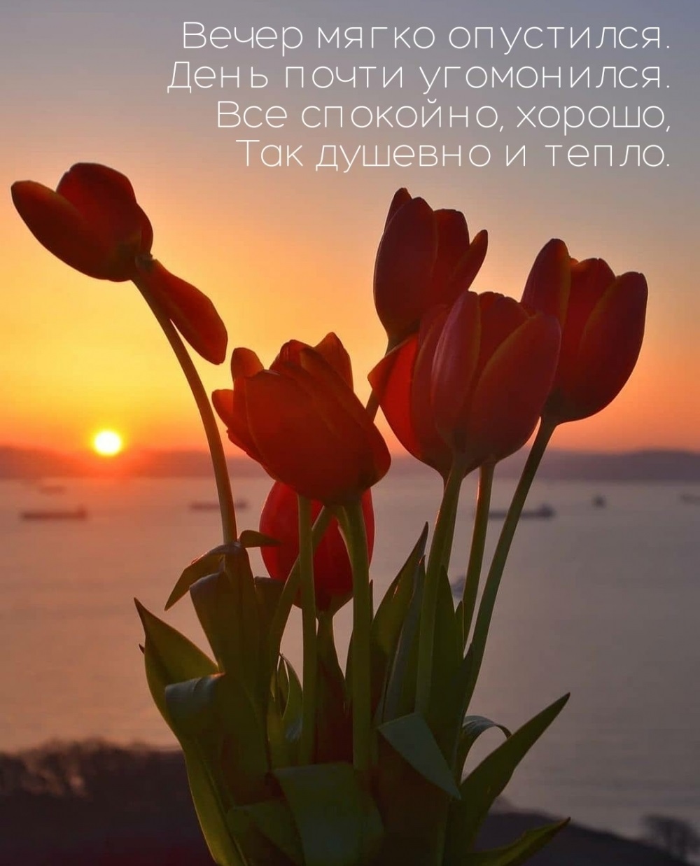 Хорошего весеннего вечера