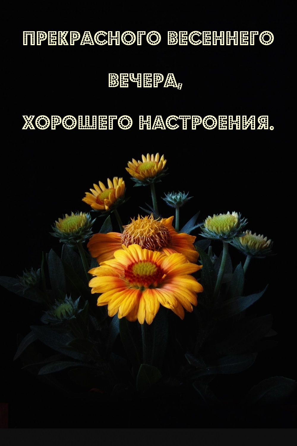 Просмотрите доску «добрый весенний вечер».
