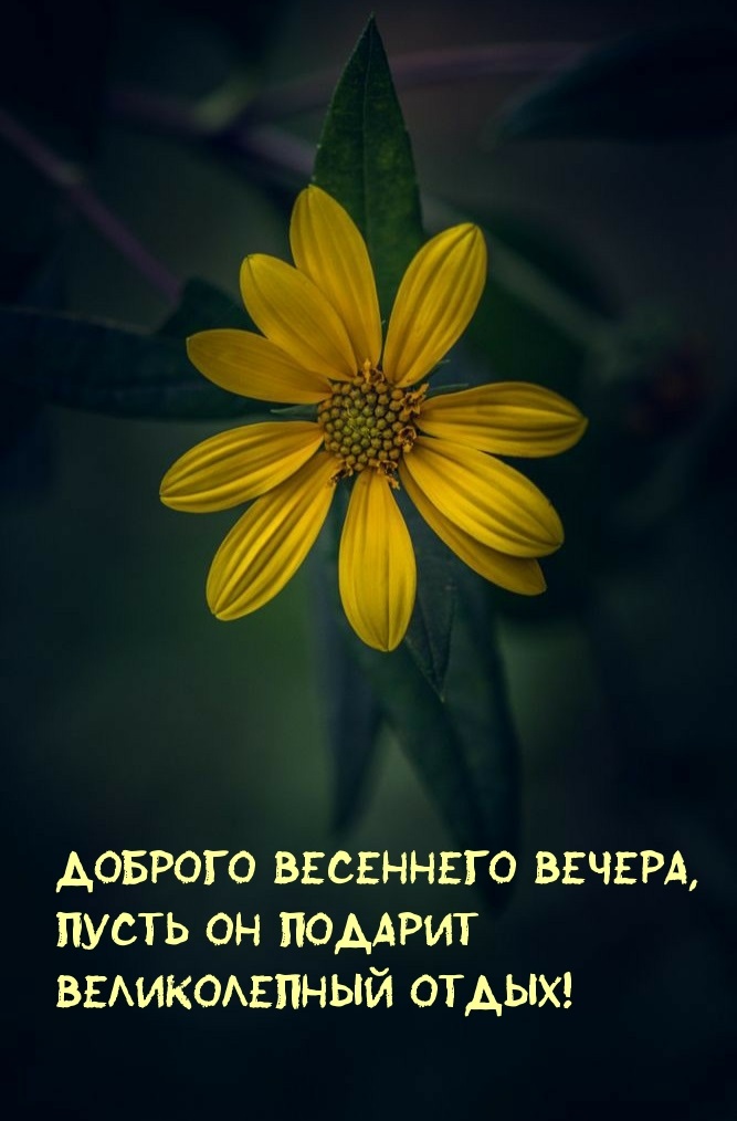 Открытка добрый весенний вечер очень красивая.