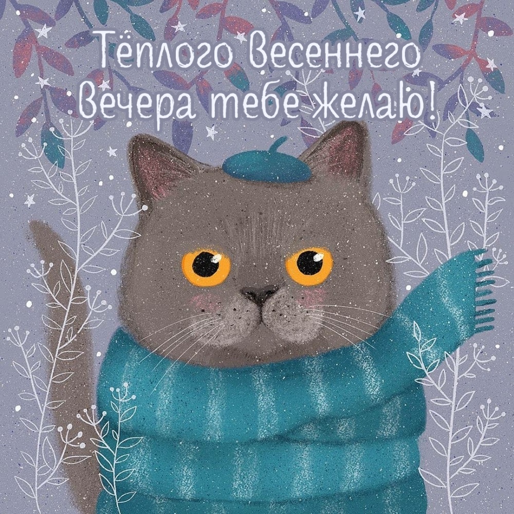 Новая картинка добрый вечер красивая девушке необычная.