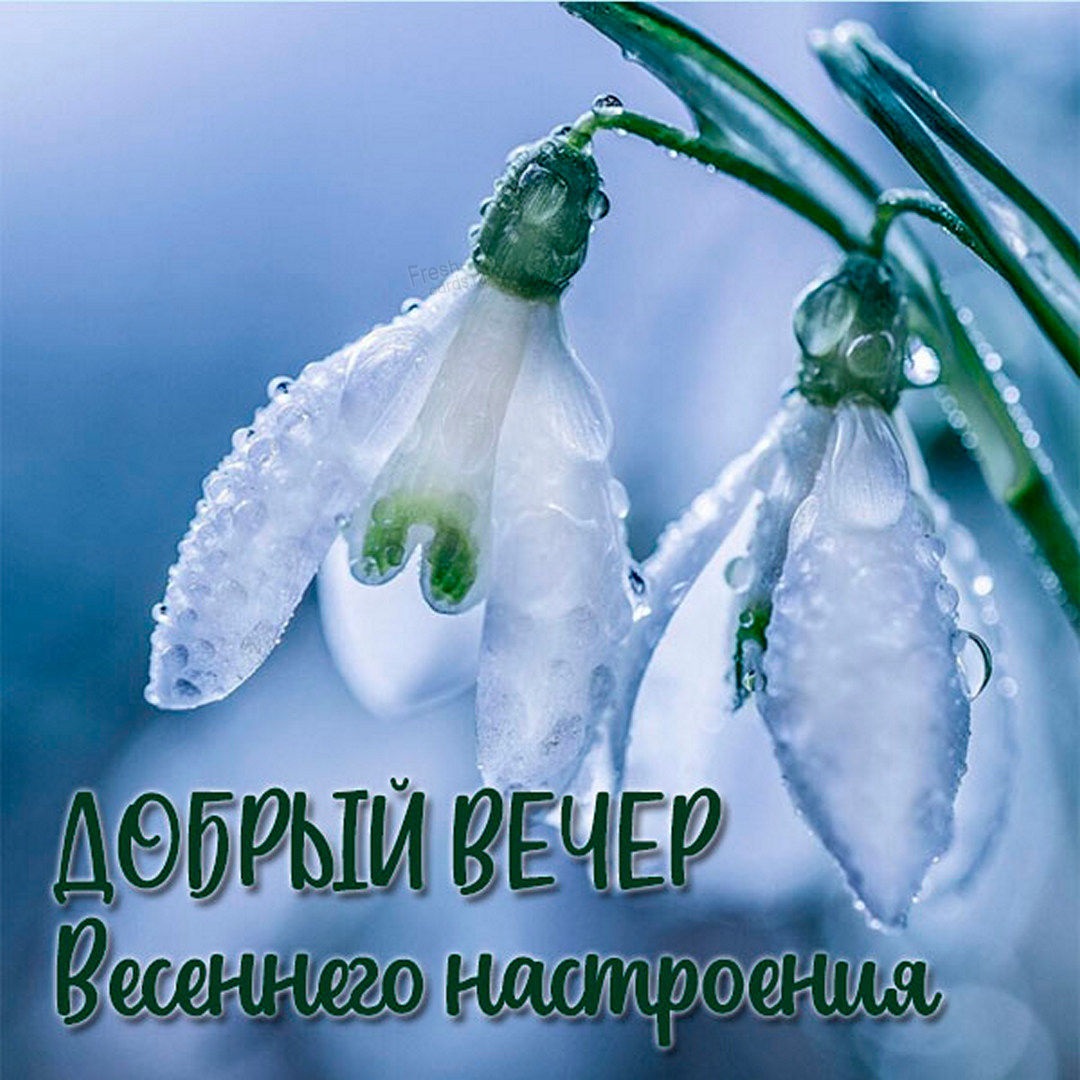 Картинки С Добрым Весенним Вечером (100 фотографий).