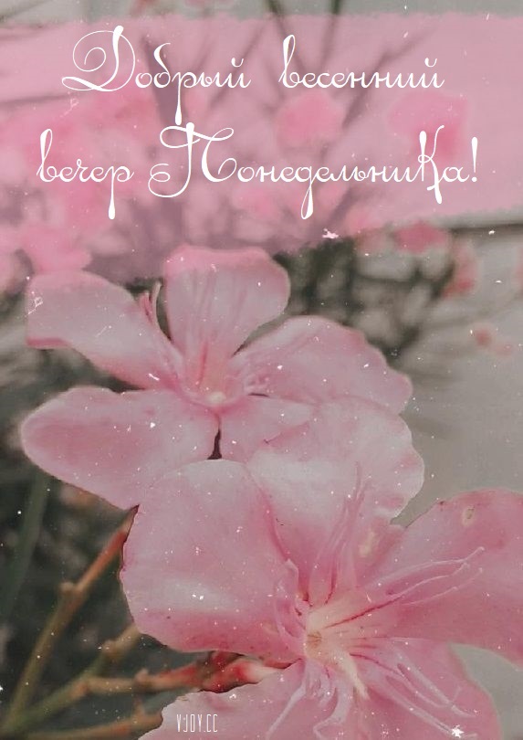 Прекрасного весеннего вечера