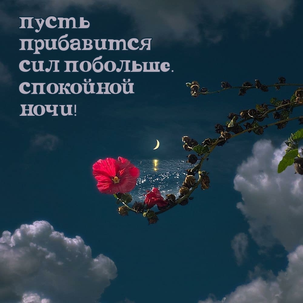 Хостинг картинок yapx.ru