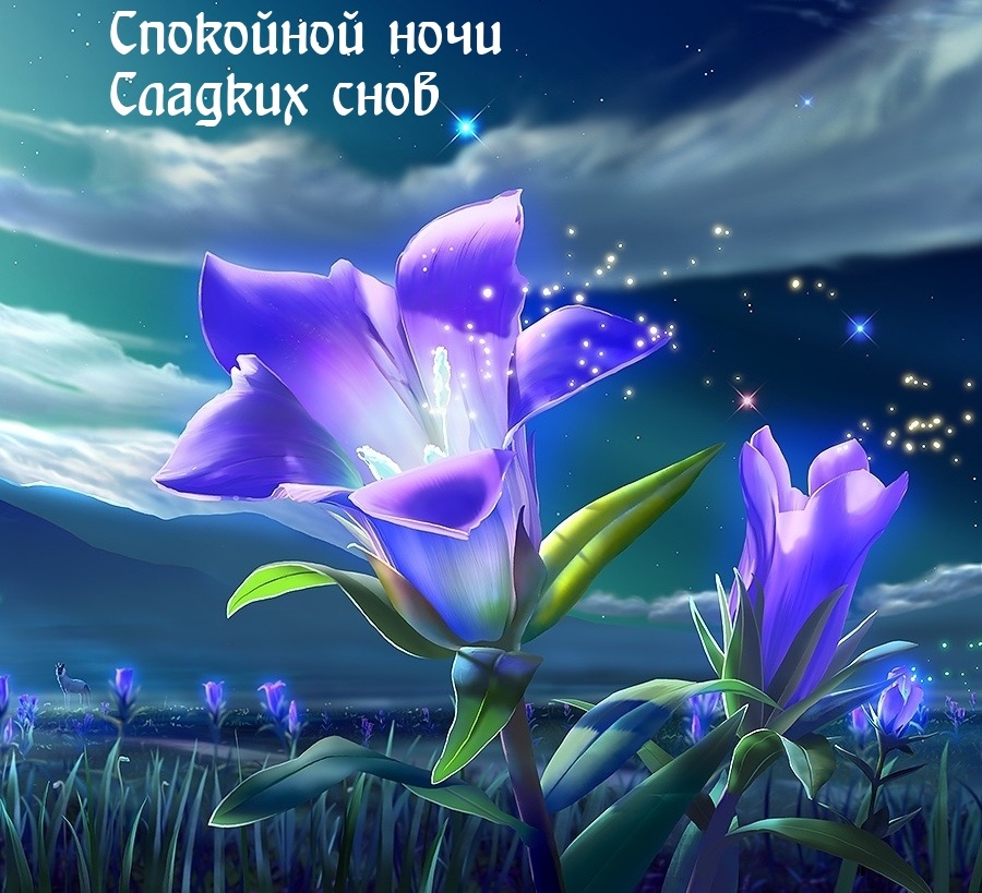 Хостинг картинок yapx.ru