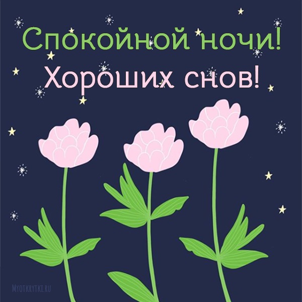 Хостинг картинок yapx.ru