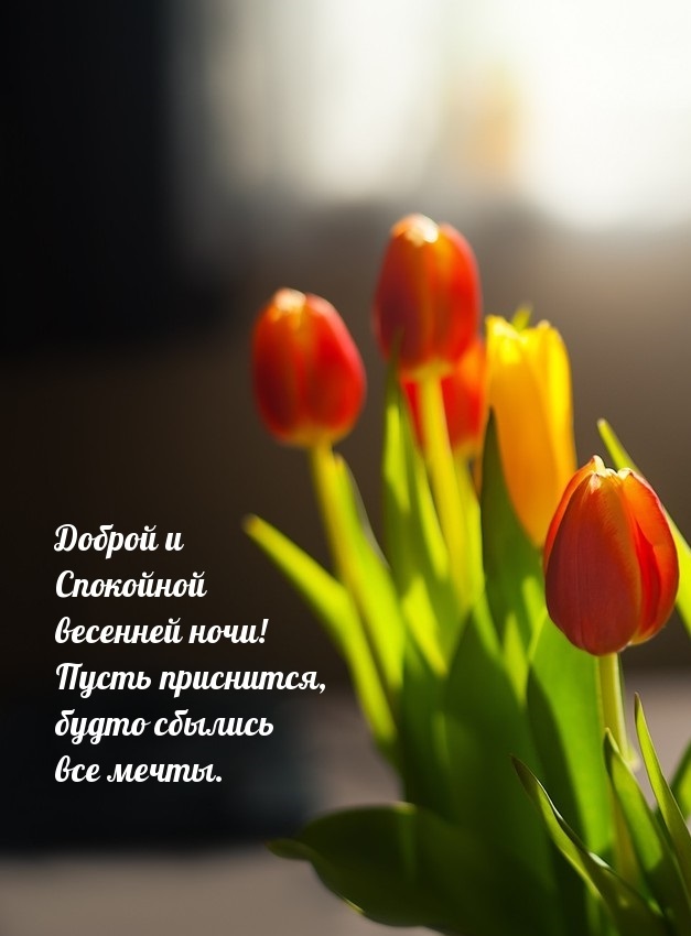Хостинг картинок yapx.ru