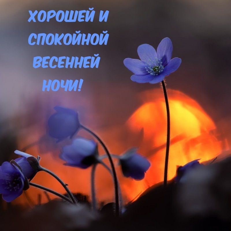 Хостинг картинок yapx.ru