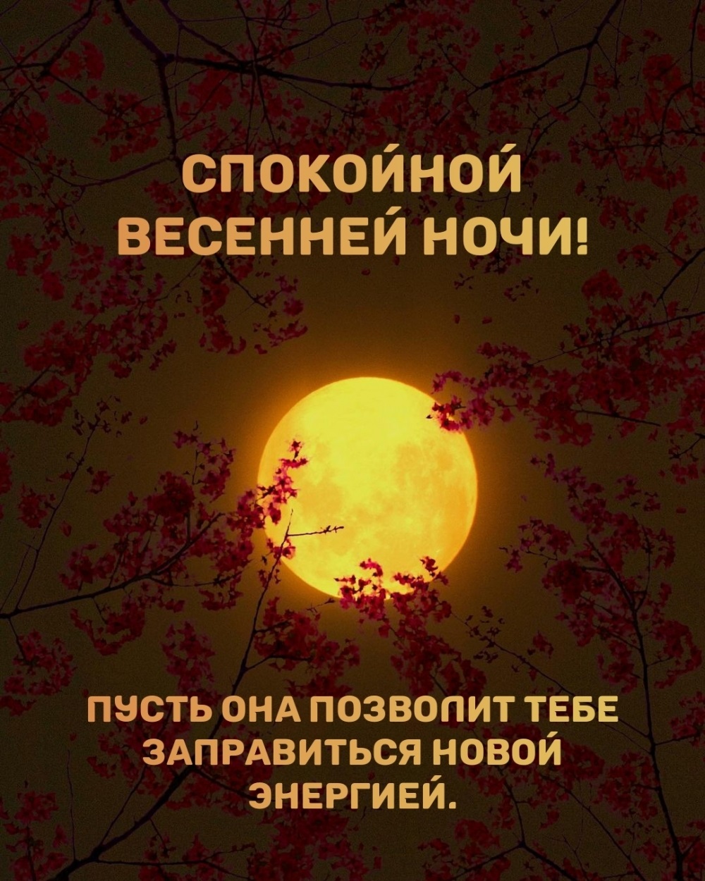 Хостинг картинок yapx.ru