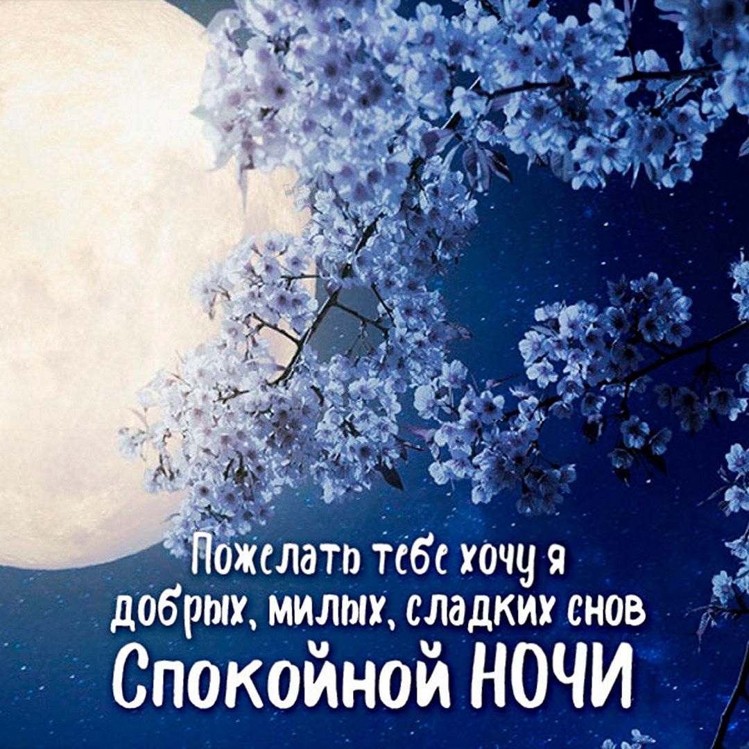 Хостинг картинок yapx.ru