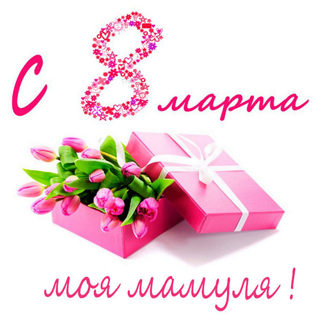 Хостинг картинок yapx.ru