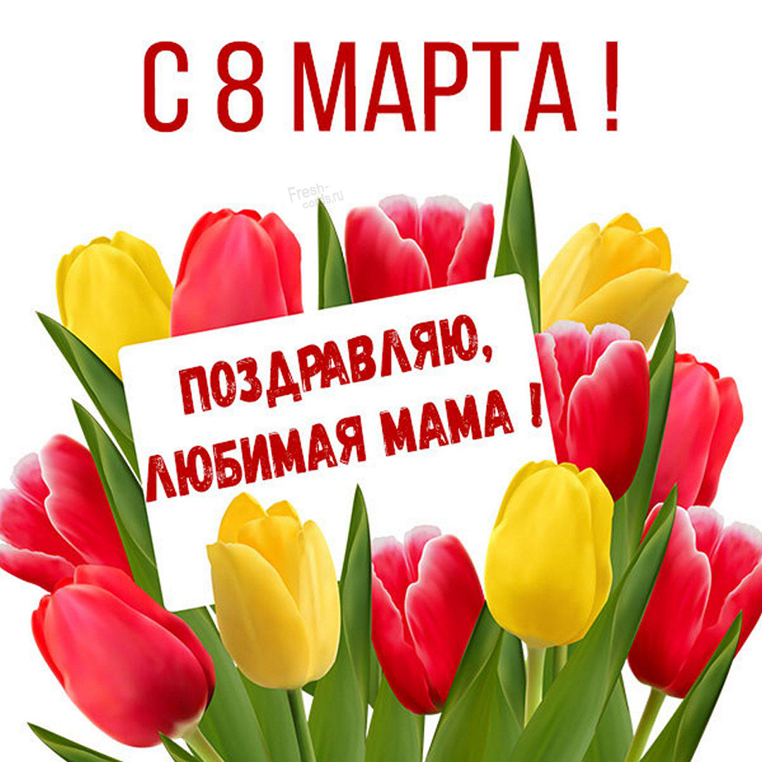 Хостинг картинок yapx.ru