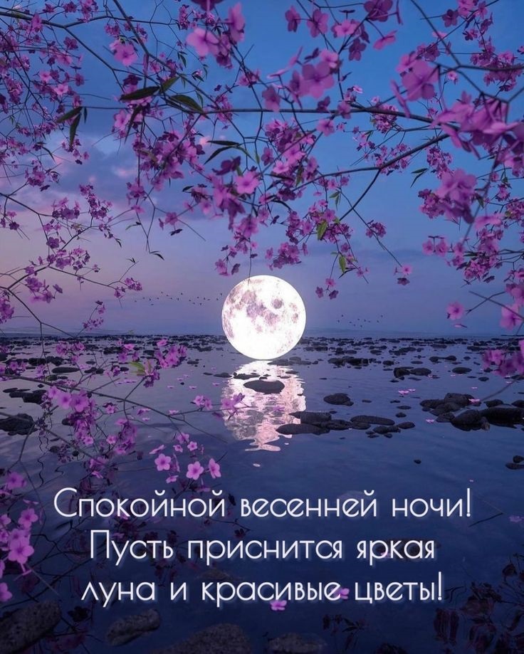 Хостинг картинок yapx.ru