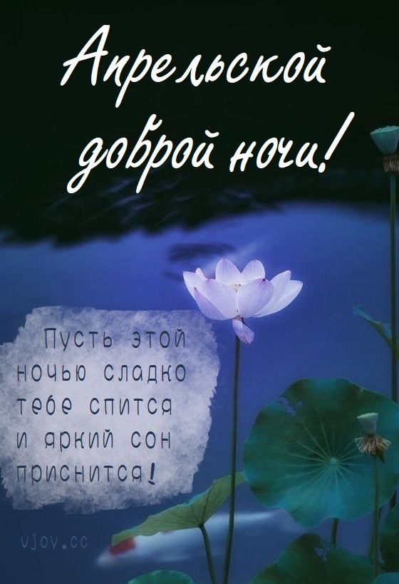 Хостинг картинок yapx.ru