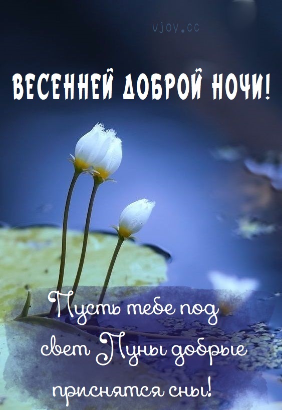 Хостинг картинок yapx.ru
