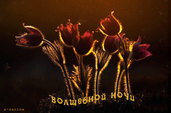 Хостинг картинок yapx.ru