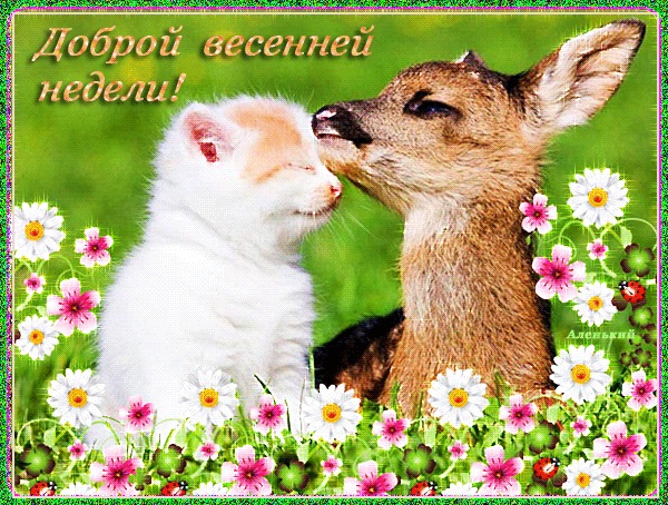 Хостинг картинок yapx.ru