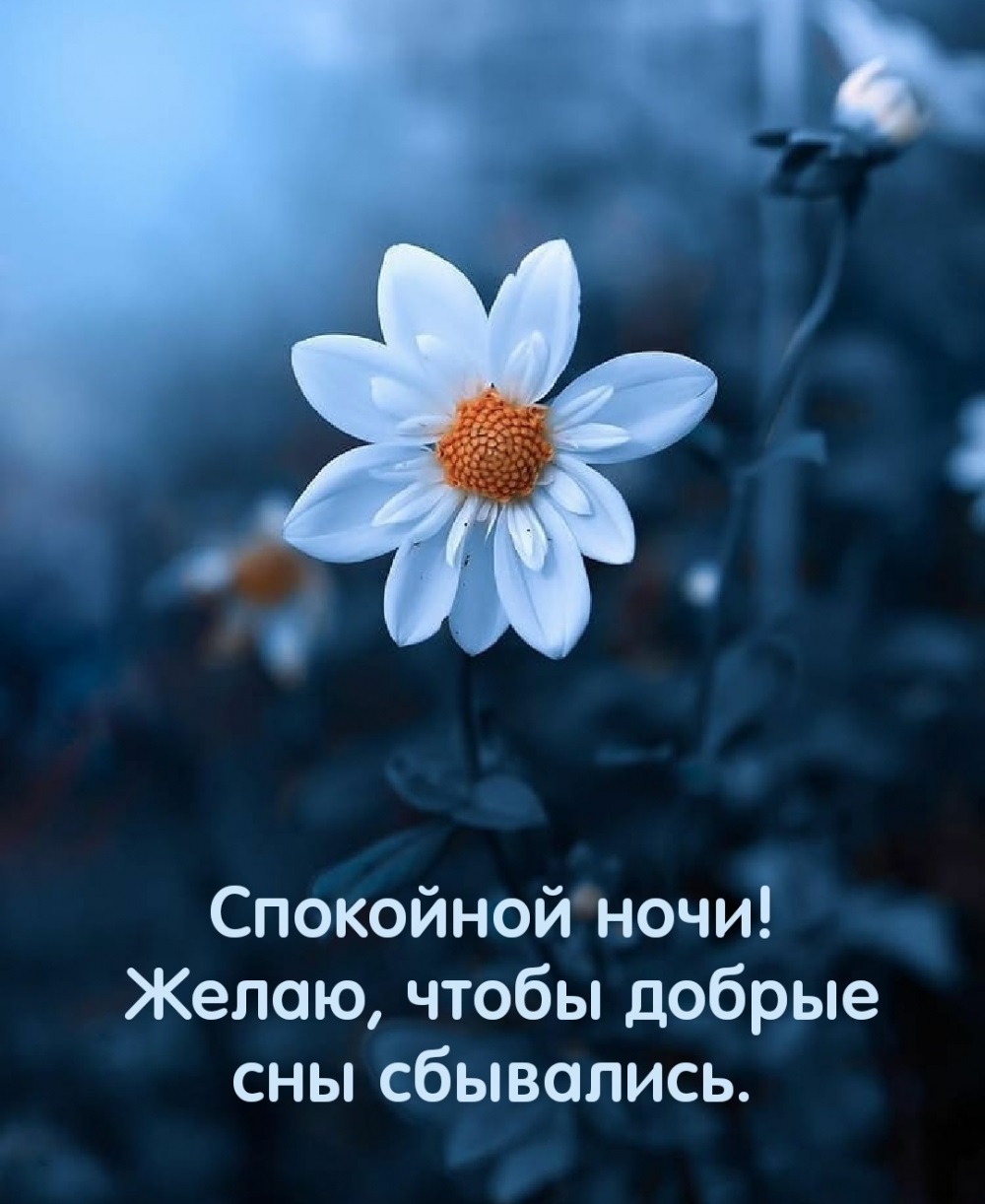 Хостинг картинок yapx.ru