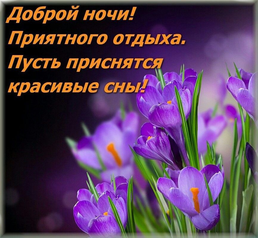 Хостинг картинок yapx.ru