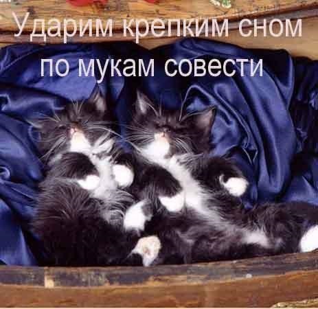 Хостинг картинок yapx.ru