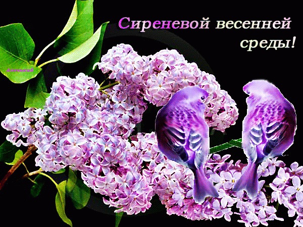 Хостинг картинок yapx.ru