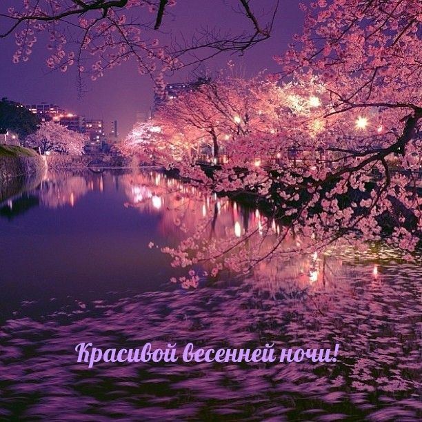 Хостинг картинок yapx.ru