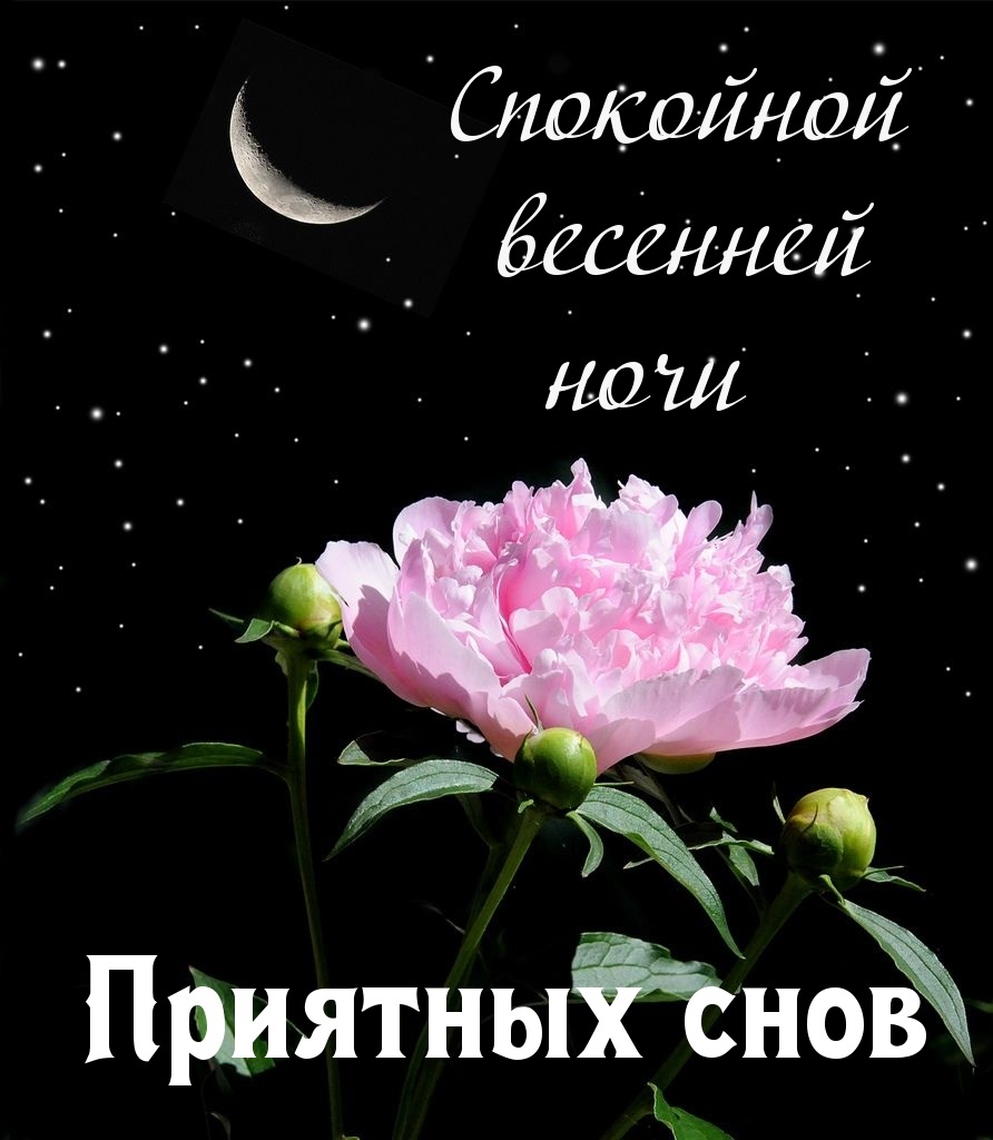 Хостинг картинок yapx.ru