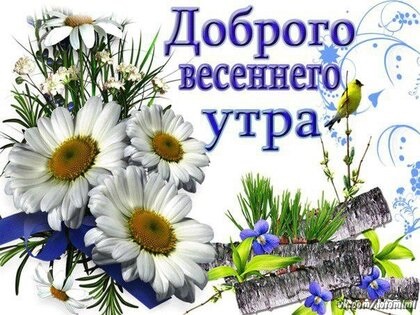 Хостинг картинок yapx.ru