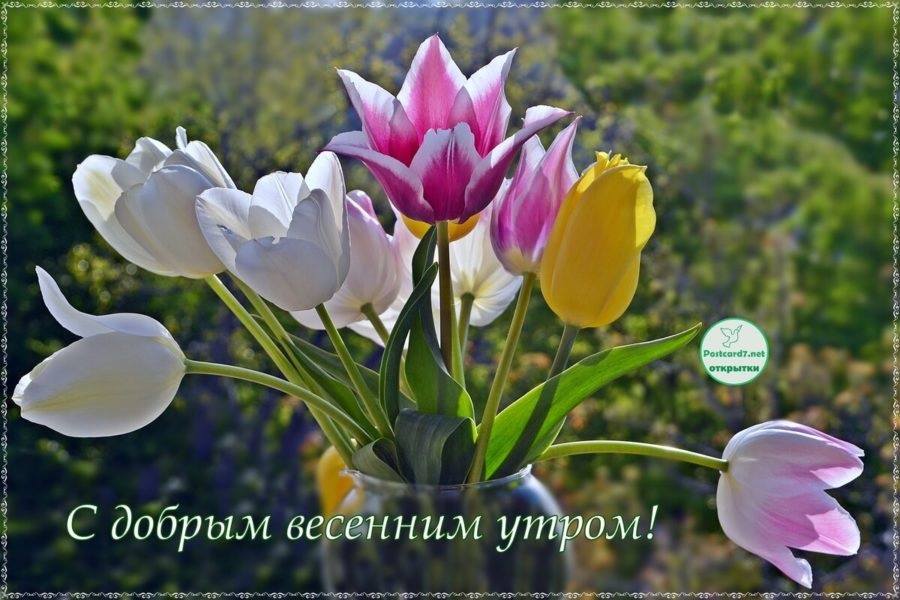 Хостинг картинок yapx.ru