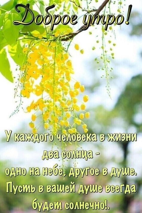 Хостинг картинок yapx.ru