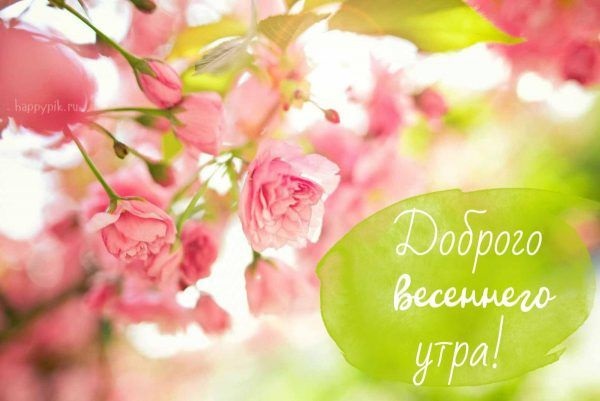 Хостинг картинок yapx.ru