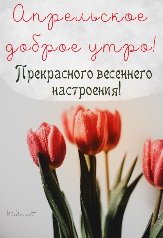 Хостинг картинок yapx.ru