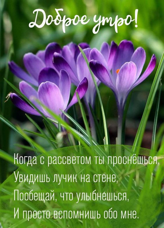 Хостинг картинок yapx.ru