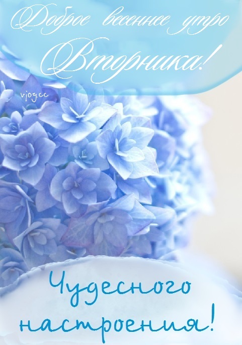 Хостинг картинок yapx.ru