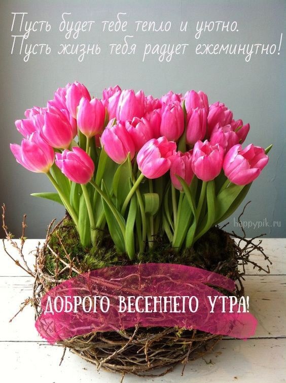 Хостинг картинок yapx.ru