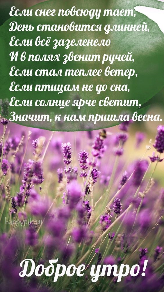 Хостинг картинок yapx.ru