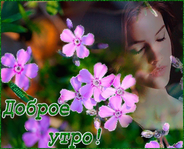 Хостинг картинок yapx.ru